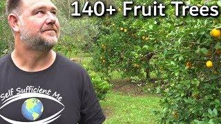 EVERY Fruit Tree Were Growing Full Garden Tour