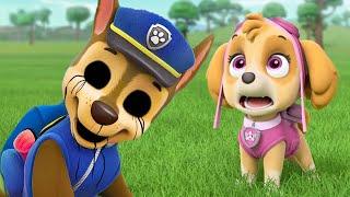 Dark Paw Patrol Theories That Are Pure Evil