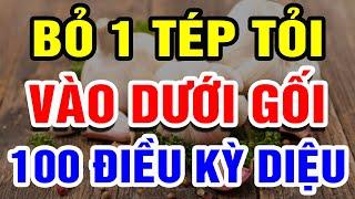 Bỏ 1 TÉP TỎI Dưới Gối Sáng Ngủ Dậy Cả Nhà GIẬT MÌNH Khi Thấy 100 ĐIỀU KỲ DIỆU  THHT