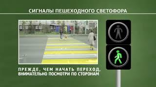 Правила на пешеходном переходе для детей
