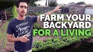 Backyard Farming 2 Year Market Garden Update of Natures Always Right Farms