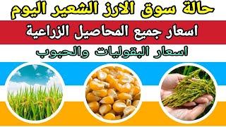 اسعار الارز الشعير اليوم _ واسعار جميع المحاصيل الزراعية والبقوليات والحبوب