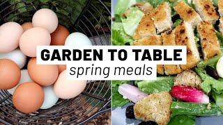 Easy healthy meals from the spring garden  Farm to Table  GroundedHavenHomestead