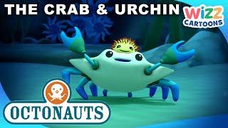 ​@Octonauts - The Crab & Urchin   S1EP18 Full Episode  @WizzCartoons