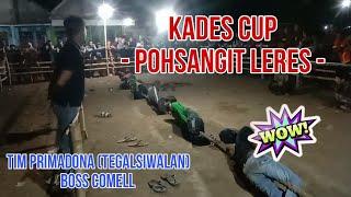 Tim PRIMADONA Tegalsiwalan-Boss Comel Tarik Tambang Pohsangit Leres KADES CUP