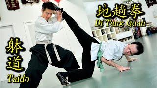 Surprise attack Taido and Di Tang Quan  【 With Subtitles in 38 Languages】