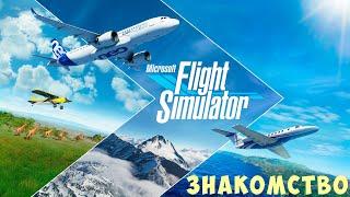  Microsoft Flight Simulator 2020 ЗНАКОМСТВО