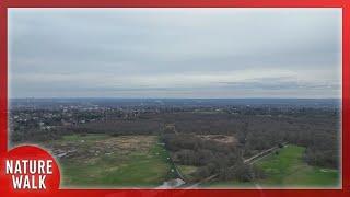 A cloudy day at the stunning Wimbledon Common in London Drone Footage