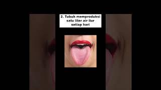 Fakta tentang tubuh Part 1