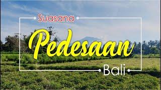 Suasana Desa di Bali  Kehidupan Desa di Bali #kehidupantradisional #suasanapagidipedesaan