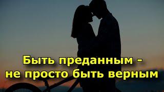 Быть преданным – это не просто быть верным.