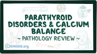 Parathyroid disorders and calcium balance Pathology Review