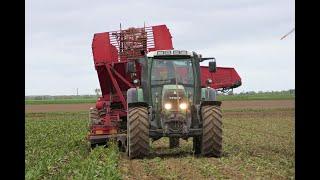 Rübenroden 2022 Fendt 712 Vario TMS Tim KRB S 212