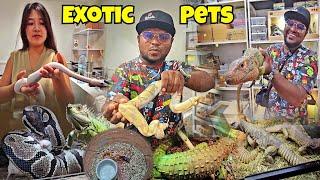 கண்ணைப் பறிக்கும் Exotic Pets Phython Tarantula Iguana camelion  Chatuchak Market Thailand