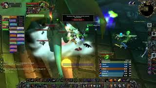 Sunken Temple Raid - Shade of Eranikus Ele Shammy POV - WoW SoD