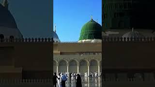 Chor Fiker Duniya Ki Chal Madina Chalty Hain  #farzandeislam #madina