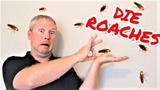 The ONLY Way to Get Rid of ROACHES - Tenant Left Cockroaches Landlords Dont Make These Mistakes