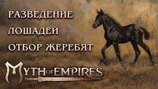 Как разводить топ лошадей в Myth of Empires? Игры с жеребятами? Таланты? На что обращать внимание?