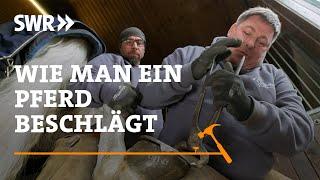 Wie man ein Pferd beschlägt  SWR Handwerkskunst