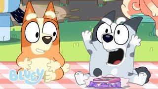 LIVE Best Bluey Episodes from Series 3  Unicorse Mini Bluey Pizza Girls and More  Bluey