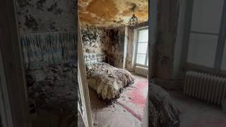 Abandoned House completely Covered in Mould #shorts #shortvideo