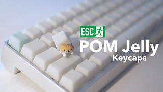 POM Jelly Keycaps by Escape Keyboard  Keycaps Comparison & Typing Sounds