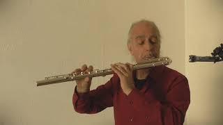 SYRINX on Sankyo Alto Flute by Denis Barbier