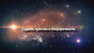 Судьба чувства и безупречность