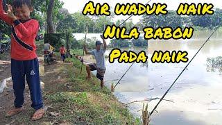 Air waduk wonokusumo Naik ikan Nila babon  pada Naik  @Afdan Fishing channel....