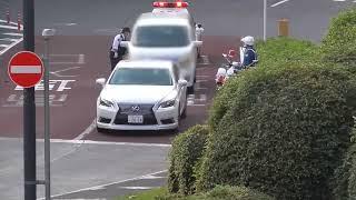 【リアル警察24時間】取締りノンストップTraffic police officers in Tokyo