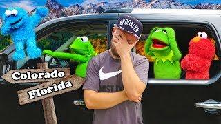 Kermit the Frog Elmo and Cookie Monsters Road Trip to Colorado