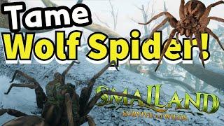 Smalland How to Tame Wolfspider