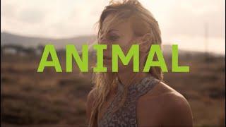 ANIMAL Official Greek Trailer