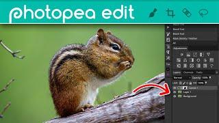 Editing in Photopea 003 - Camera Raw Filter Vignette Content Aware fill removing objects