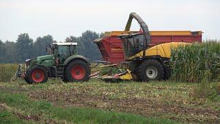 Mais hakselen door loonbedrijf Altena met New Holland FR9050 en Fendt trekkers 2022