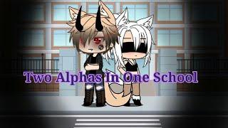 °Two Alphas In One School°Gacha LifeEpisode 2