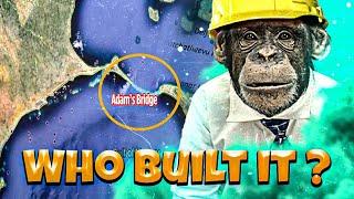 Unveiling the Myth Who Actually Built the Mysterious Adams Bridge?  Rama Setu