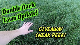 Getting A Thick & Deep Green Lawn  DIY Lawn Care