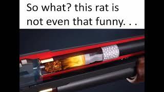 My honest reaction at someone dissing the rat