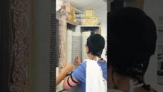 Torah reading Parashat Devarim