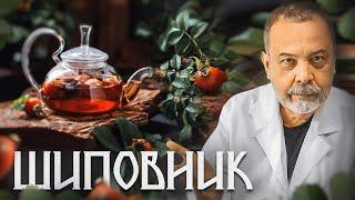 ШИПОВНИК Насколько полезен чай из шиповника. Отвар шиповника.