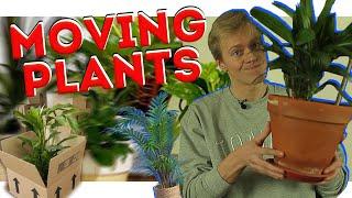 HOW TO MOVE PLANTS - MOVING TIPS 2021