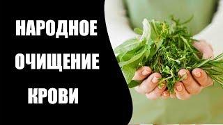 6 растений для очищения крови