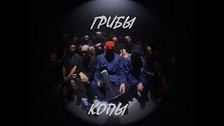 Грибы Копы Gribi Copy