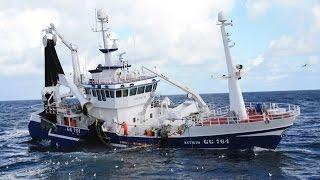 Mackerel Fishing in The North Sea September 2013