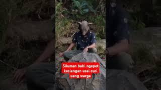 Pergoki siluman babi ngepet kesiangan usai curi uang warga