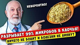 Вы даже НЕ представляете на что способен РОЗМАРИН... Даже хирург не поверил своим глазам