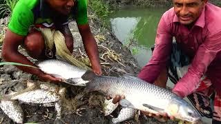 Net Fishing VideoCast Net Fishing। Best Net Fishing Videos