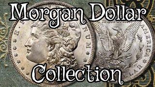 Morgan Silver Dollar Collection