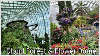 Singapores Cloud Forest and Flower Dome Worth It?